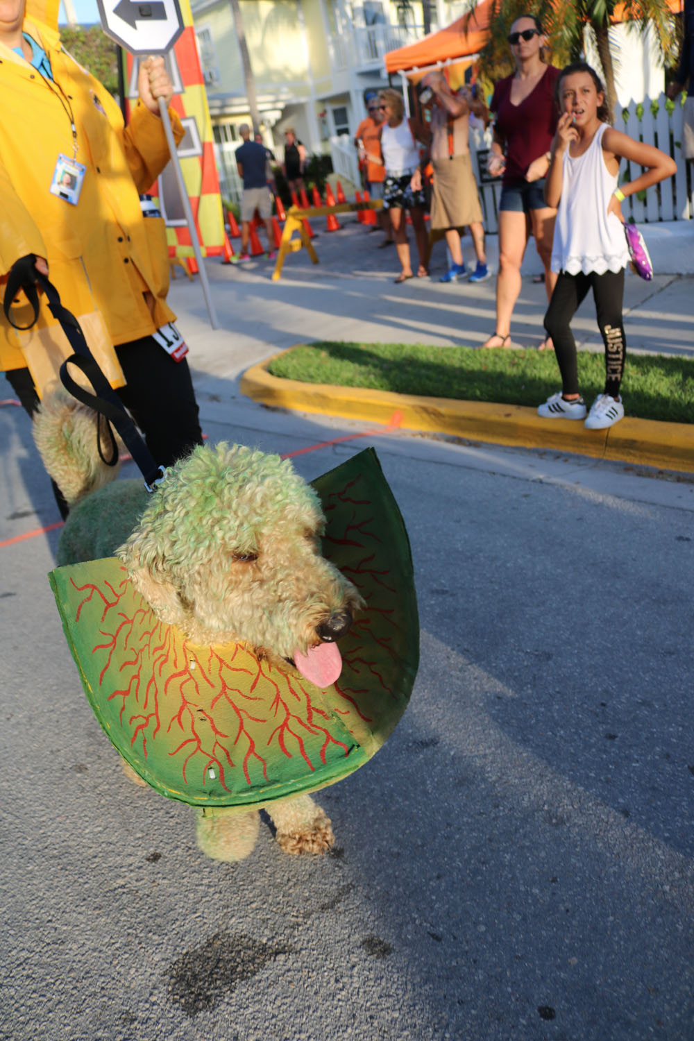 Heroes and Villains 5K 2018 photo - Duval Street, Key West